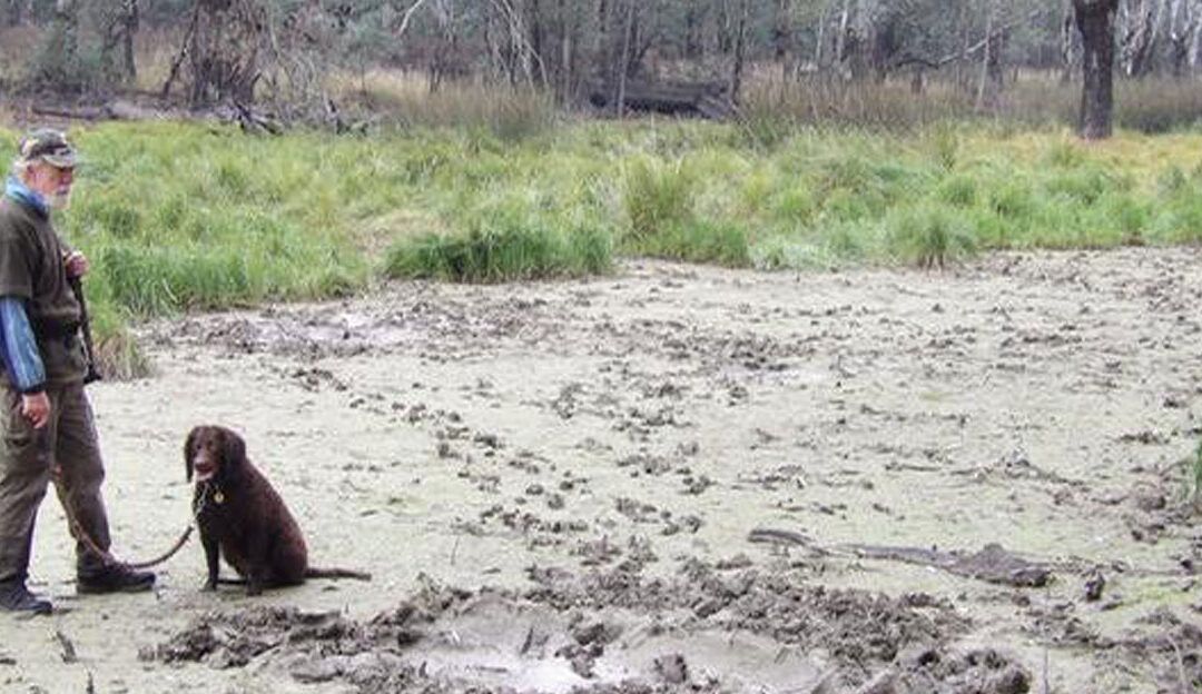 Hunting with your Murray July 2020