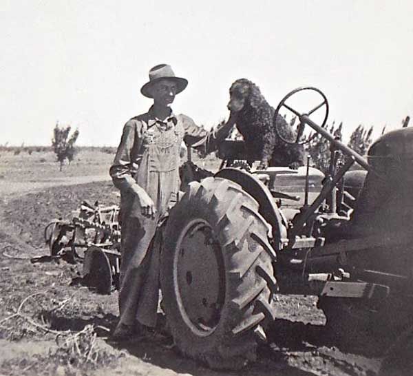 Robinvale 1949