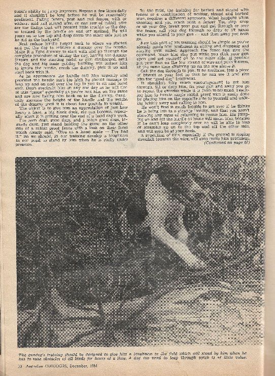 hunting training part 3 2020