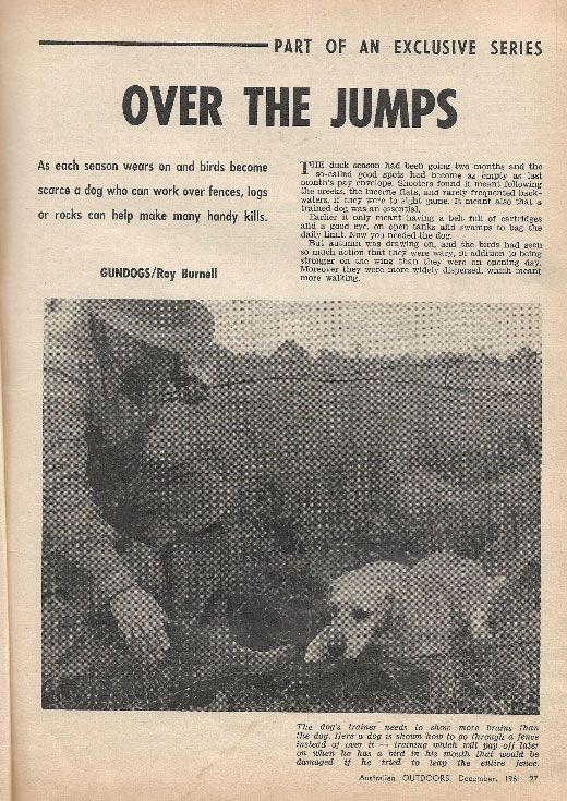 hunting training part 3 2020