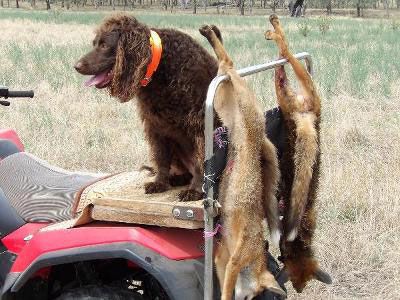 hunting with murray part 3 leon wright