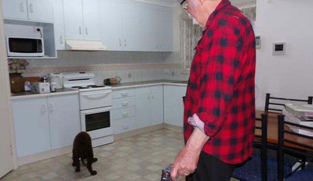 training your murray to hunt part 2