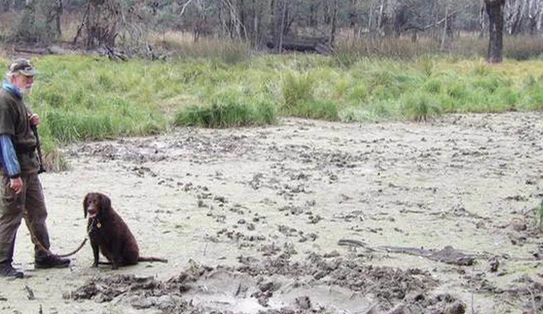 Hunting with your Murray July 2020