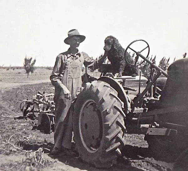 Robinvale 1949