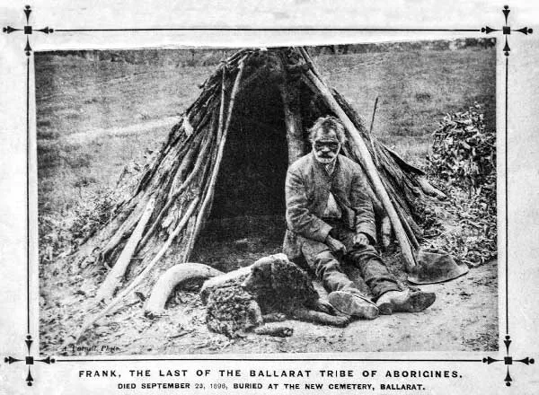 photo from ballarat historical society of Murray River Retriever