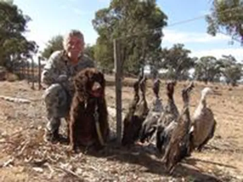 hunting with Murray River Retrievers