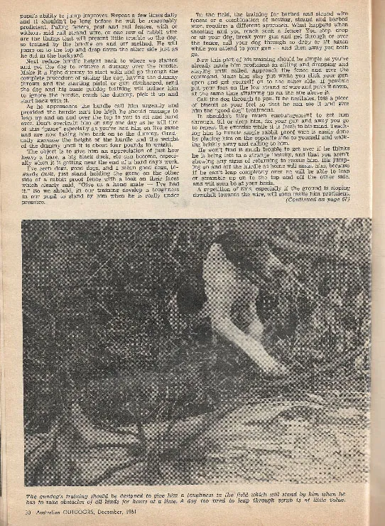 hunting training part 3 2020