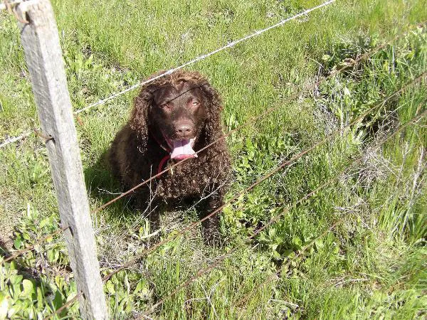 hunting training part 3 2020