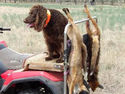 hunting with murray part 3 leon wright